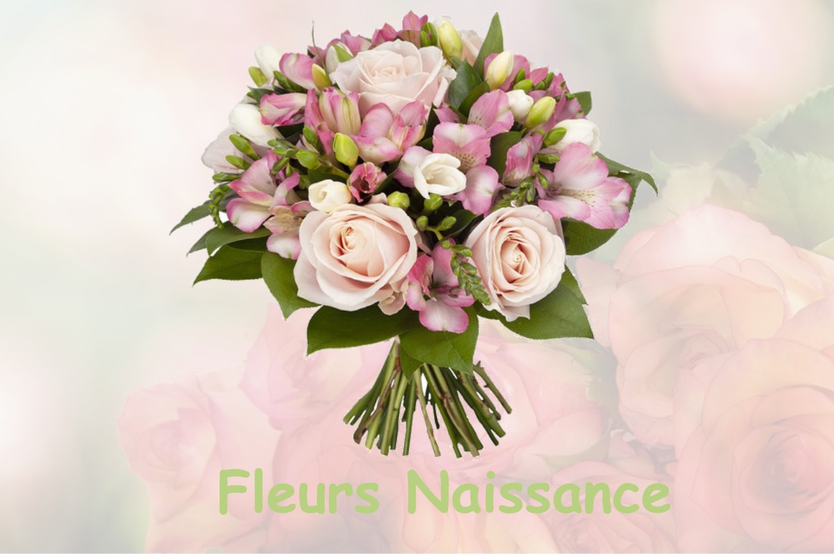 fleurs naissance SAINT-MAURICE-SUR-FESSARD