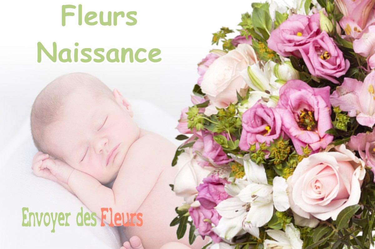 lIVRAISON FLEURS NAISSANCE à SAINT-MAURICE-SUR-FESSARD